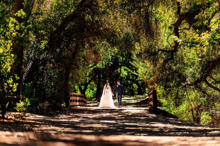 Color photo of bride and groom holding hands in the distance as they walk over a bride in the forest at Anaheim Oak Canyon Nature Center wedding shoot