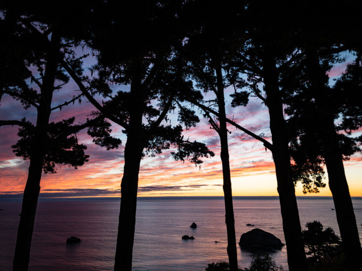 Purple and cotton cady colored sunset over the water and through the trees